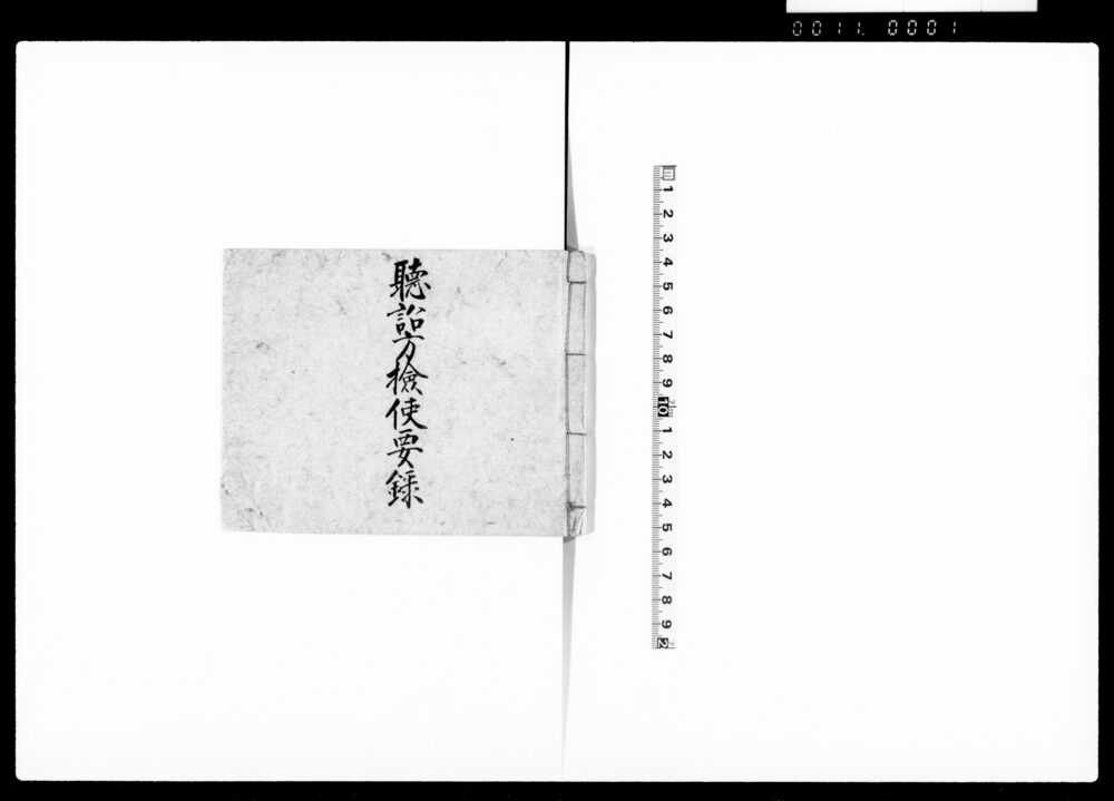 作品画像：聴詔方検使要録