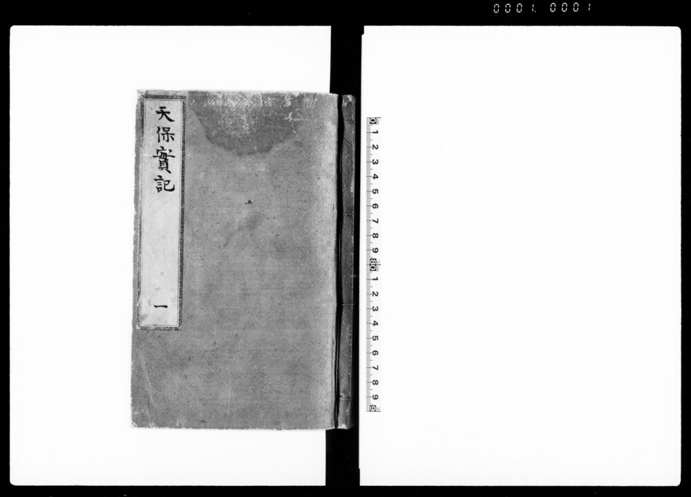 天保実記