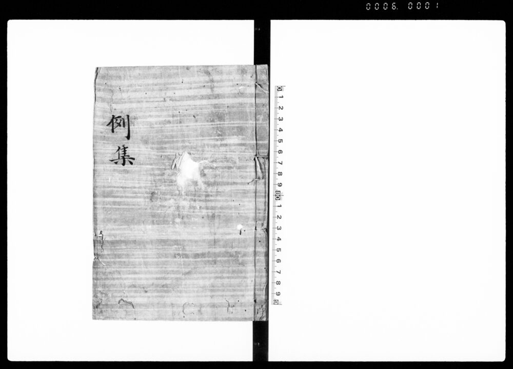 作品画像：例集