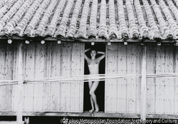 作品画像：