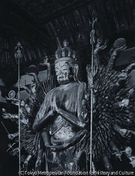 作品画像：唐招提寺金堂 千手観音像