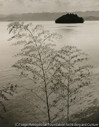 作品画像：若狭 大島風景