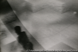 TV（万博）