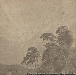 作品画像：(風景)