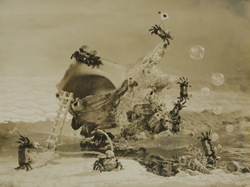 作品画像：