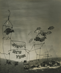 作品画像：