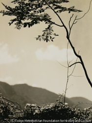 作品画像：中禅寺湖