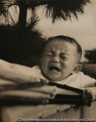 作品画像：小児