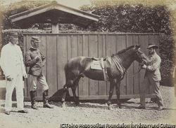 日本の馬「タイフーン号」