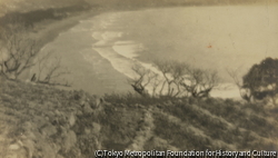作品画像：(海岸風景)