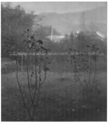 作品画像：(風景)