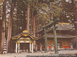 作品画像：（神社）