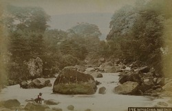 作品画像：箱根　宮城野