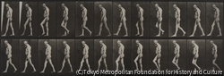 作品画像：筋肉伸縮症の歩く男性