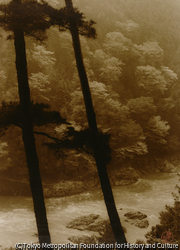 作品画像：（渓谷と二本の木）