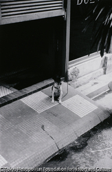 作品画像：小路の犬