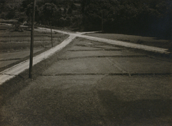 作品画像：路 其二