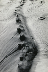 作品画像：浸蝕された岩 No.4