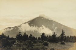 作品画像：(山)