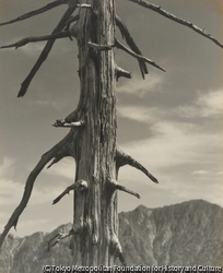 作品画像：上高地