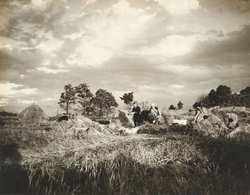 作品画像：農村風景