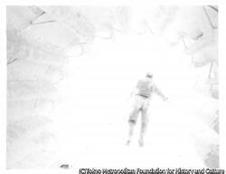 作品画像：
