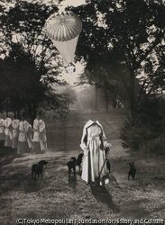 作品画像：沈黙の奇蹟