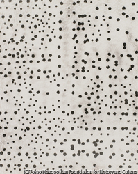 作品画像：