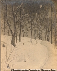 作品画像：（樹と雪）