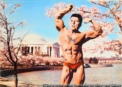 （裸体男性と桜）
