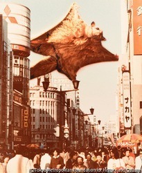 信じられなーい