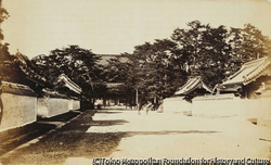 芝の参道