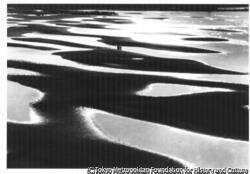 作品画像：新舞子の干潟