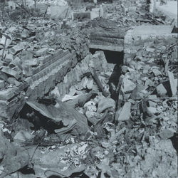 作品画像：側溝で火葬された遺骨