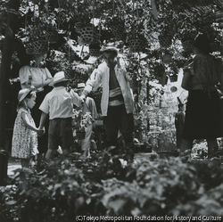 作品画像：四万六千日鬼灯市、浅草観音
