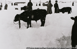 作品画像：雪国