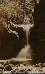No.51