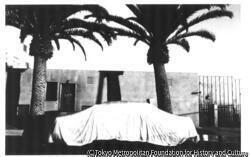 作品画像：覆われた車、ロングビーチ、カリフォルニア