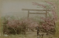 作品画像：横浜