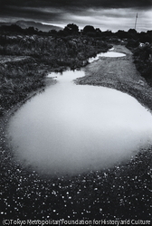 作品画像：