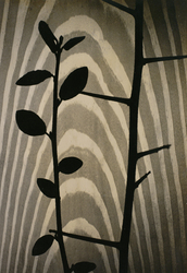 作品画像：生成の構成 1951.1952