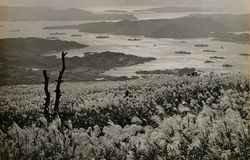 作品画像：佐世保 1952