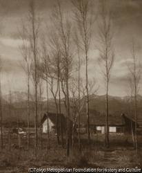 作品画像：（山麓の民家の風景）