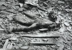 作品画像：長崎被爆写真 A-9-6