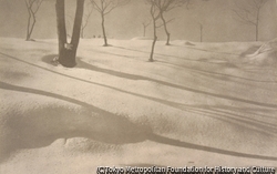 作品画像：堤の雪