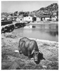 作品画像：3. 肥大した戦敗記念物