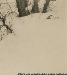 作品画像：異人池の雪 No.1