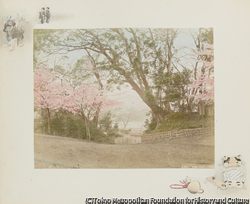 361 上野公園、東京