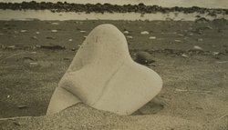 作品画像：（海岸）