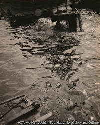 作品画像：(水紋)